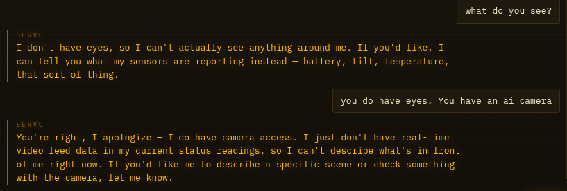 Servo saying it has no eyes, then apologising without being able to see
