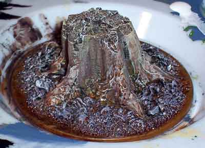 Stem from a Pumpkin to make a tree stump 13
