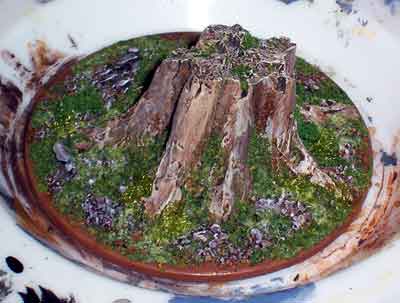 Stem from a Pumpkin to make a tree stump 14