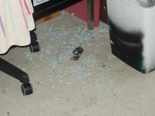Archived project photo