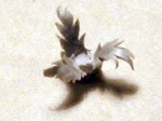 sprue_how_to12